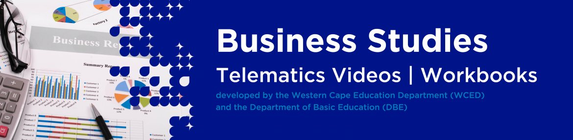 Revision DVDs (Telematics) - Business Studies Grade 12