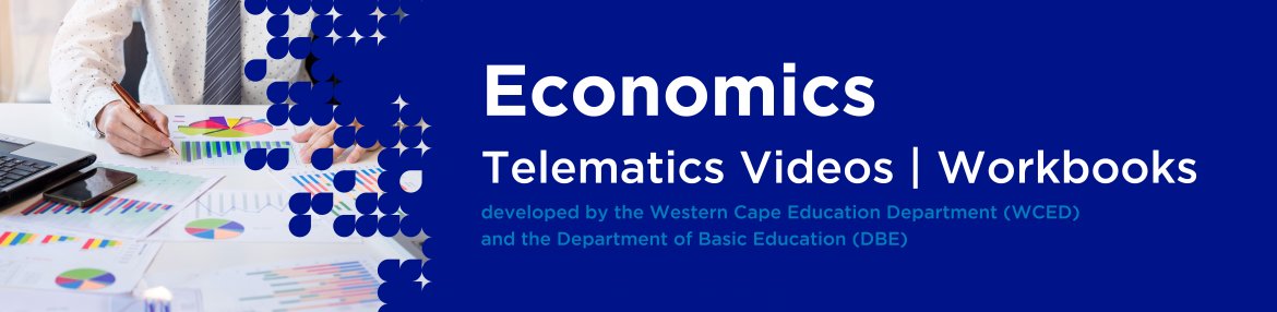 Revision DVDs (Telematics) - Economics Grade 12