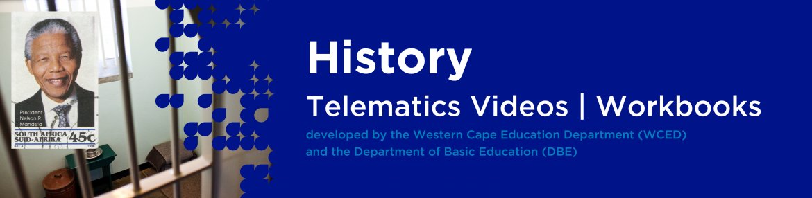 Revision DVDs (Telematics) - History Grade12