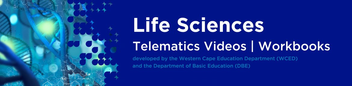 Revision DVDs (Telematics) - Life Sciences Grade 12