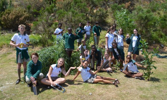 Camps Bay Primary School embarks on alien vegetation hack