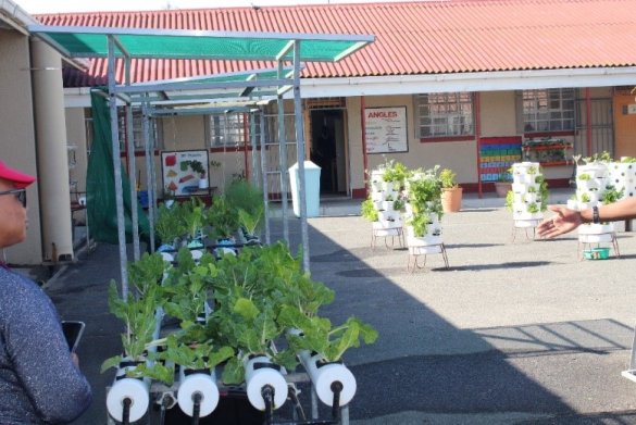 National School Nutrition Programme garden competition3