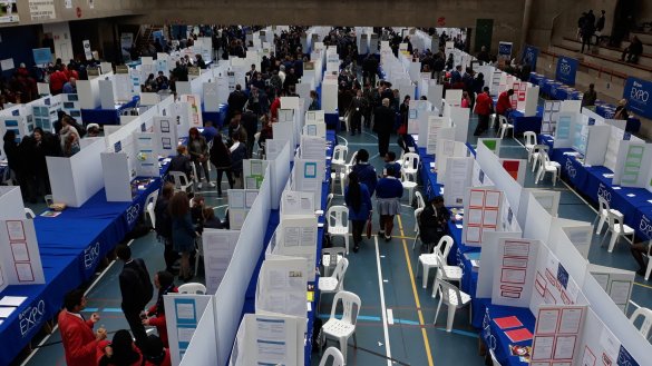Cape Town Expo for Young Scientists