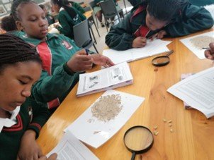 West Coast learners explore basic sciences in the modern world