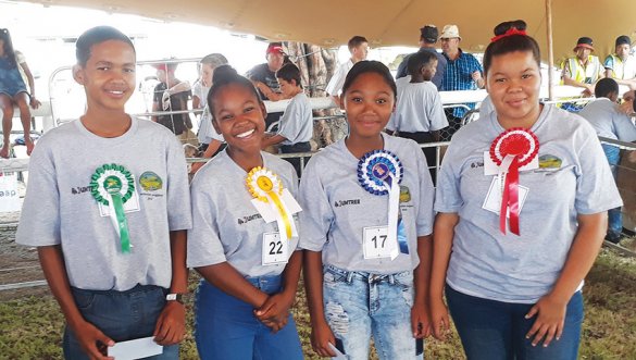 Calitzdorp learners display their skills at agriculture youth shows