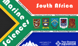 Five Marine Sciences school flags are travelling along with Antarctic Quest